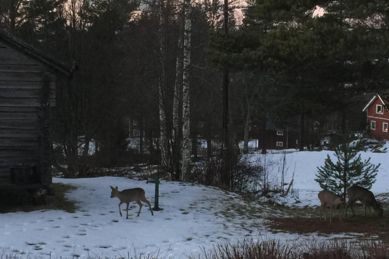 Beautiful 4-5 Persons Cottage In Alvdalen Blyberg Экстерьер фото