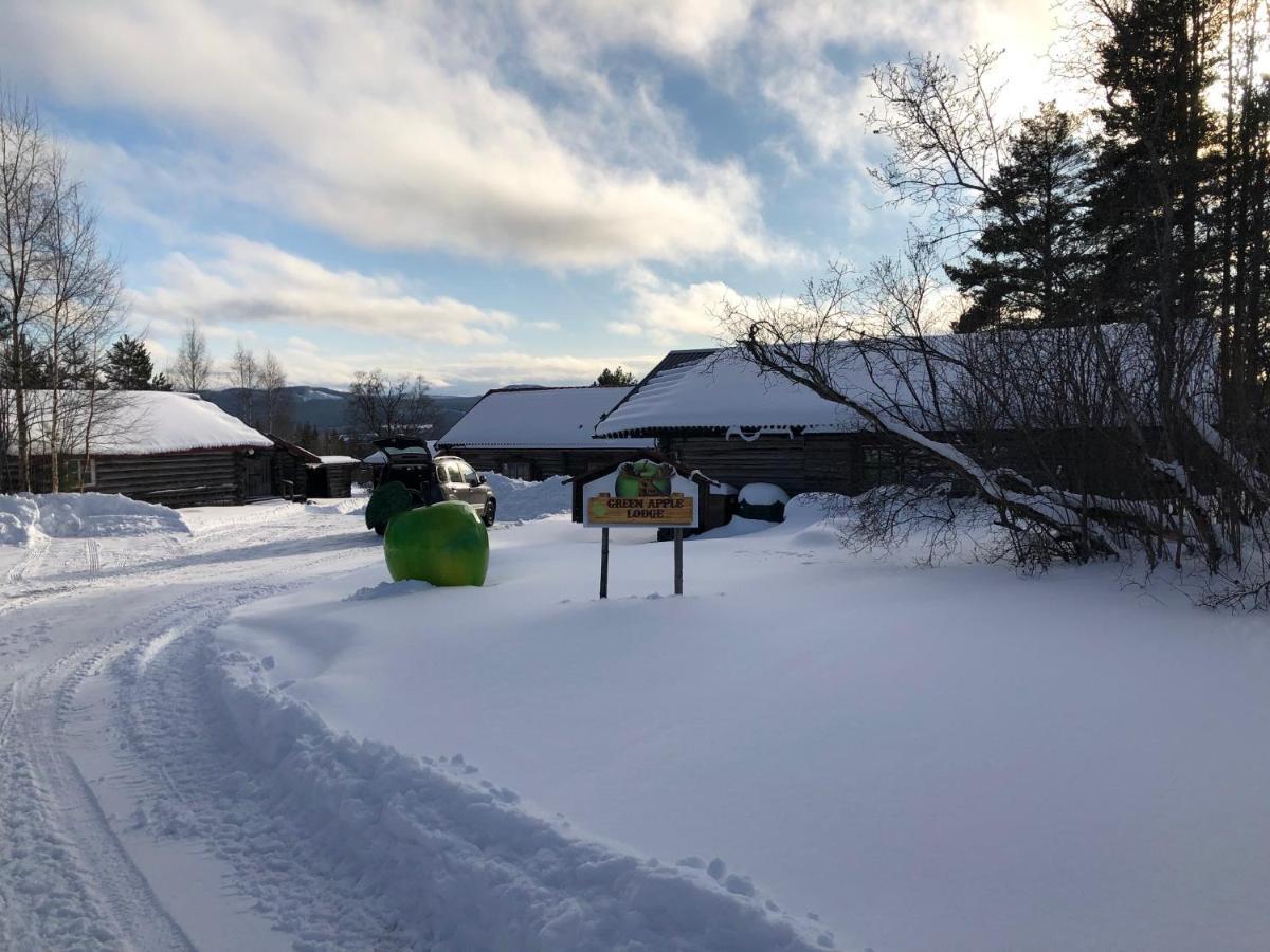 Beautiful 4-5 Persons Cottage In Alvdalen Blyberg Экстерьер фото