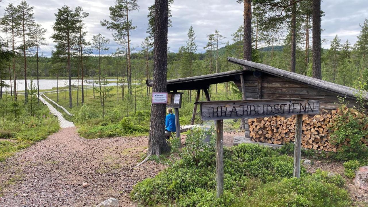Beautiful 4-5 Persons Cottage In Alvdalen Blyberg Экстерьер фото