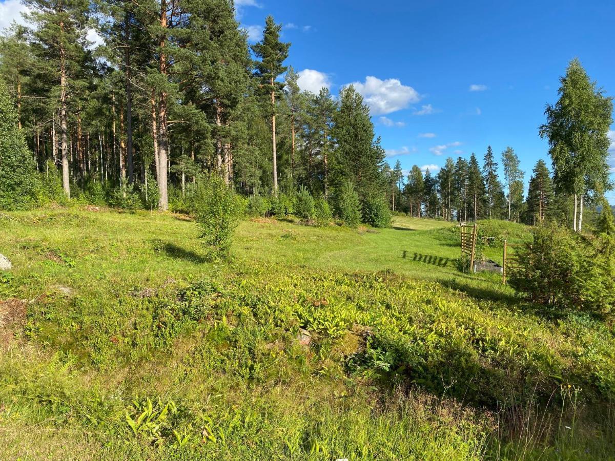 Beautiful 4-5 Persons Cottage In Alvdalen Blyberg Экстерьер фото