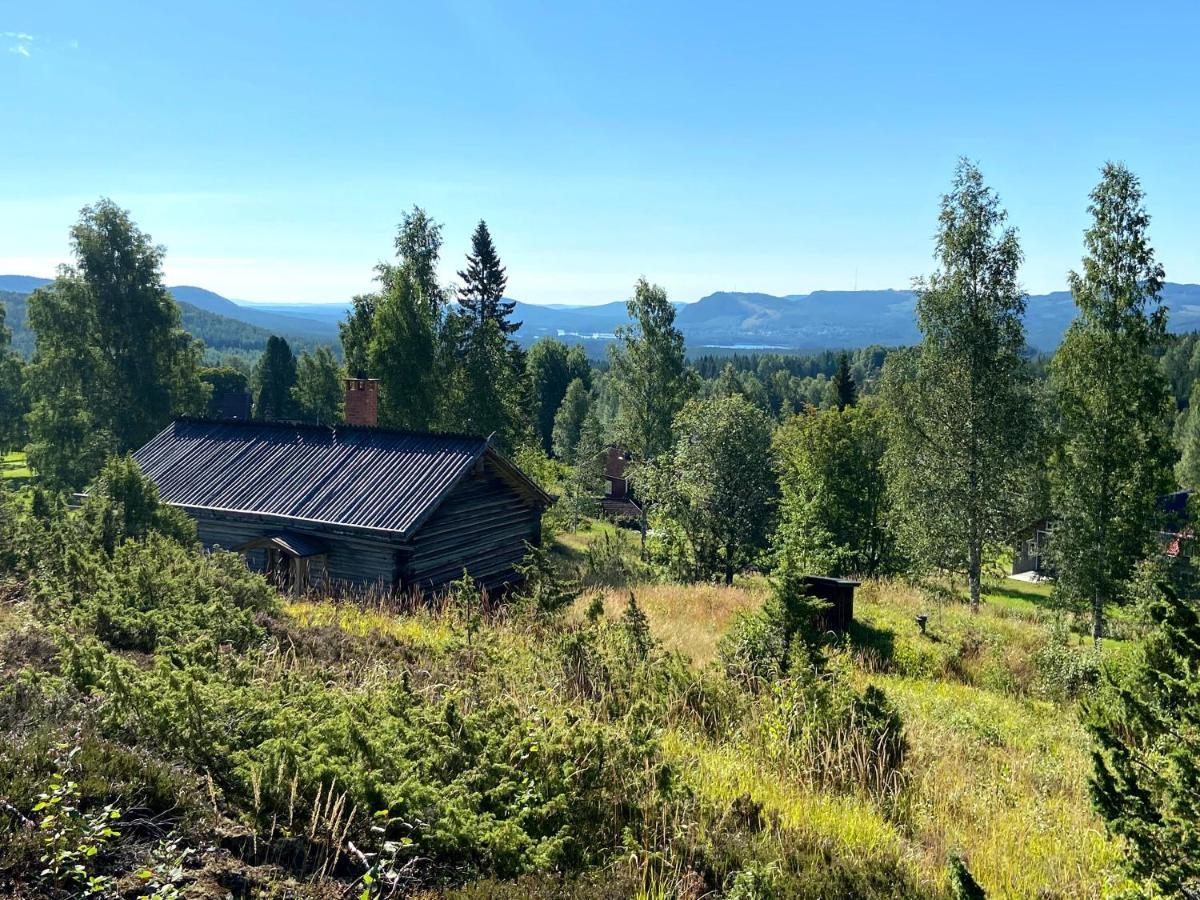 Beautiful 4-5 Persons Cottage In Alvdalen Blyberg Экстерьер фото